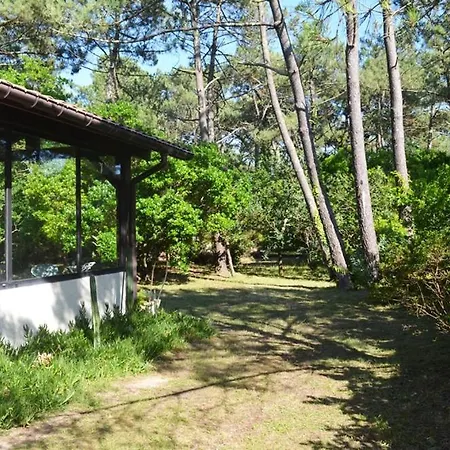 Auriel Labenne-ocean *