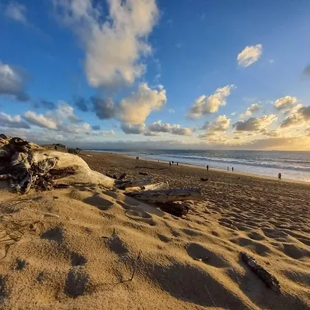 Auriel Labenne-ocean