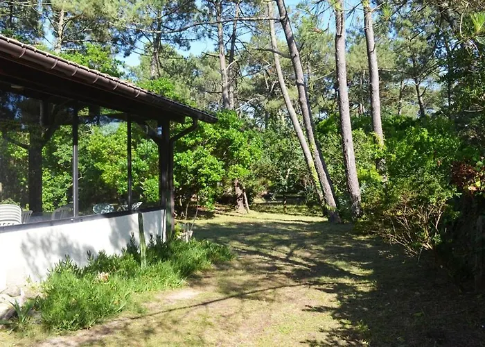 Auriel Labenne-ocean *