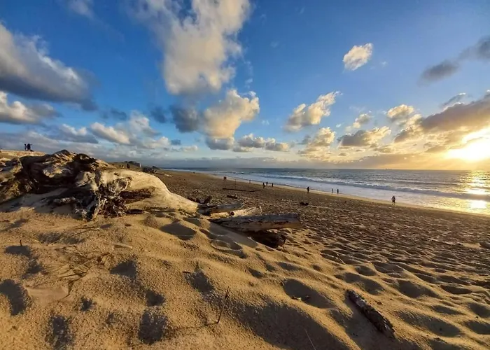 Auriel Labenne-ocean