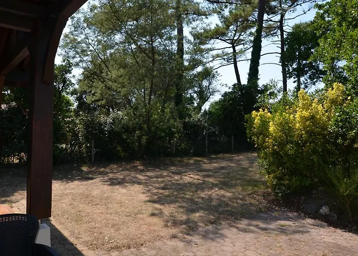 Auriel Labenne-ocean *